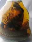 30 Year Old Real Cobra And A Scorpion In A Large X O Bottle  7 5  High