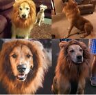 Lions Mane Dog Costume For Large Dogs - New