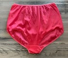 Vintage Nylon Sheer Silky Pink Sheer Granny Panties Panty Lingerie Satin