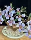 Vintage Asian Jade Glass Flowering Lilac Purple Cherry Blossom Bonsai Tree 8 