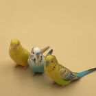 Choco Q Choco Egg Mini Figure Bird Budgerigar 3pcs Set Kaiyodo