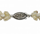 Hawaiian 100  Niihau Shell 20 Inch Kipona Pikake And Poepoe Lei