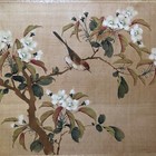 Old Chinese  japanese  sparrow And Tree  Watercolor Painting On Silk  Red Sealed