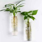 Wall Hanging Plant Terrarium Propagation Station Glass Planter