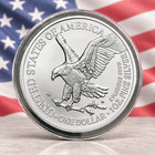 2026  1 American Silver Eagle 1 Oz Almost Uncirculated In Capsule