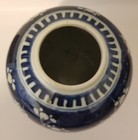 Antique Chinese Blue White Prunus Jar Kangxi Style Qing Porcelain Vase