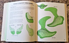 Unused  Star Wars  Yoda s Activity Book  paperback  1981  Mazes  Puzzles    More