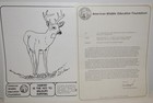 1970 s American Wildlife Posters   Literature From Nat l Wildlife Foundation 