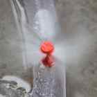 50 X Micro 360 Degree Misting Nozzle - Hydroponic Aeroponic E-z Clone Irrigation