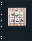 1 3 Off  18 00 Scott Value - 2019 Antigua Roses S s Flowers Cv Mnh Nh Umm