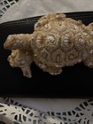 Sea Turtle  With Baby Turtle Sand Seashell   4 Inch
