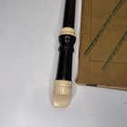 Flageolet Generation Tin Penny Whistle Flute   eb   Nickel