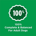 Purina Complete Dry Dog Food Adult Dogs Real Chicken 44 Lb Bag