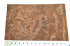 Walnut Burl Raw Wood Veneer Sheet 9 5 X 16 Inches 1 42nd Thick            4705-4