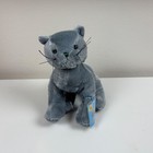 Ganz Webkinz Charcoal Cat Plush Stuffed Animal Hm152 Nwt Unused Code Gray