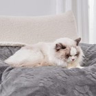 Washable Pet Blanket Fleece Dog Cat Soft Sherpa Reversible Dog Blanket  30 x40  