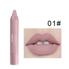 12colors Makeup Lipstick Moisturizing Matte Lasting Long Lipstick Waterproof 
