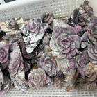 1pc Natural Pink Tourmaline Quartz Carved Flower Skull Crystal Reiki Decor Gift