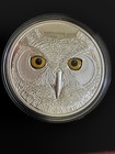 2017  15 Fine Silver Coin-in The Eyes Of The Great Horned Owl glow In The Dark 