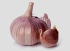 Fresh Siberian Hardneck Garlic Bulbs  3-pack  For Planting Or Eating