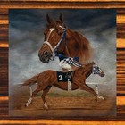 Secretariat - Washcloths New Collectors Set Of 4