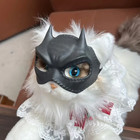 Bat Pet Costume Mask Cat Or Small Dog Batman Demon Halloween Cosplay
