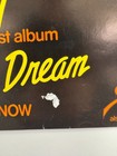 Ted Nugent Poster Original Scream Dream New Album Epic Records Promo Circa 1980