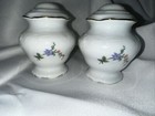Vintage Royal Kent Rkt3 Poland Salt   Pepper Set Floral