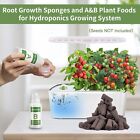 50 Pcs Square Grow Sponges Seed Starter Pod Kit Hydroponics A b Solid Nutrient