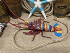 Artificial Fake Food Crawfish Only Seafood Display Nautical Movie Prop