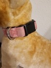 Elegant Dog Collar  Collar For Dog  Luxury Collar For Dog Small