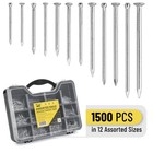 Mr  Pen- Nail Assortment Kit  1500 Pcs  Assorted 12 Sizes Assorted  Silver