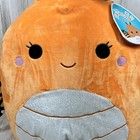 Squishmallow 16    Mony The Monarch Butterfly Toy Plush Walgreens Exclusive New