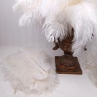 White Ostrich Feathers 10-11 Inch Home Decor Wedding Elegant 196 Pc Large Lot