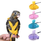 Parrot Flying Harness Leash Suit Pet Bird Outdoor Flight Training Rope Cockatiel