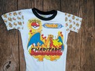 Vintage Youth Kids Pokemon Charizard Pajamas Pjs Set Size 10 Shirt Pants Charman
