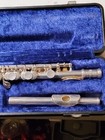    rare    emerson Piccolo W  Case