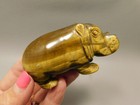 Hippopotamus Figurine Tiger-eye 3 Inch Animal Carving Totem  o373
