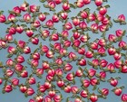 20 Vintage 1950s Small Celluloid Peaches Made Japan Plastic Peach Charms Crafts