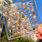 36 64 Grids Seashell Display Box Acrylic Magnetic Seashell Display Case Organize
