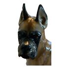 Vintage Rosenthal Porcelain Boxer Dog Figurine 7 1 4  Tall  Bavaria- Germany