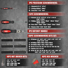 Craftsman 124-piece Acetate Handle Assorted Screwdriver Set Cmht65046