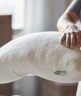 Avocado Green Organic Pillow Queen     Latex   Kapok     Model Sfpavamem-qpil