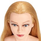 Traininghead 28-30  100  Human Hair Mannequin Head Hairdressing Training Blond