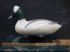 Vintage Drake Bufflehead Decoy Upper Chesapeake Bay Maryland Hunting Lure