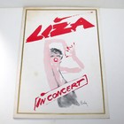 Vintage Liza Minnelli In Concert Souvenir Program 1979 1980 Broadway Theater