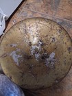 Antique Indo Persian Dhal Shield