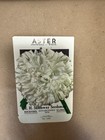 Vintage R h  Shumway Aster Snowball White Empty Seed Packets Lot Of 500