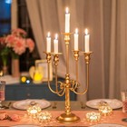 Hewory Metal Candelabra Gold Candle Stand 20in Tall 5-candle Candlestick Holder