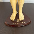 Acupuncture Model 20 Inches Human Acupoint Silicone Doll